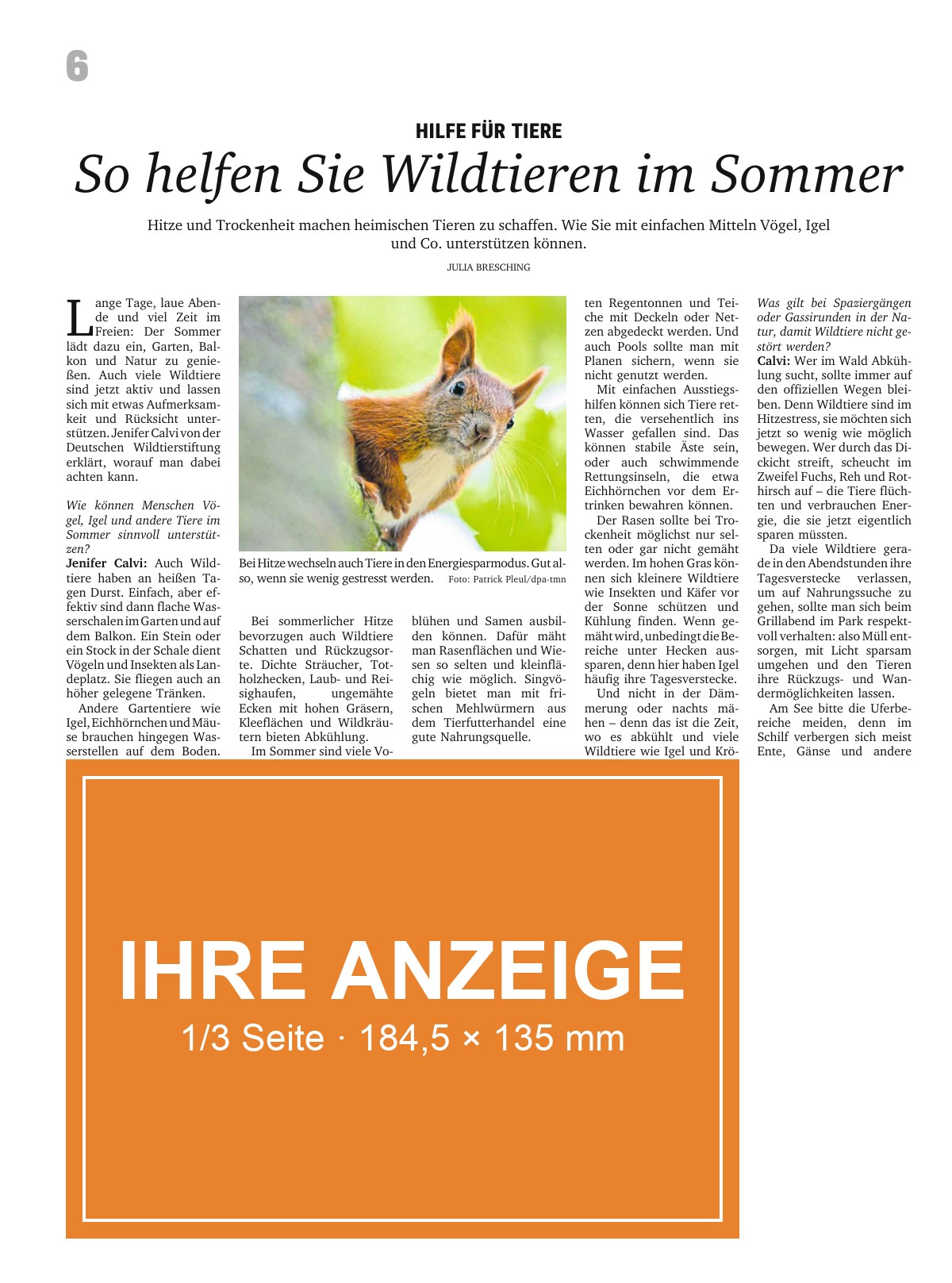 Beispielseite aus dem Magazin GARTEN mit Anzeige im Format 1/3 Seite · 184,5 × 135 mm